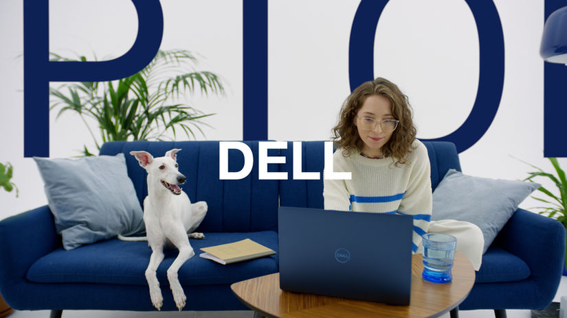 Commercial - Director